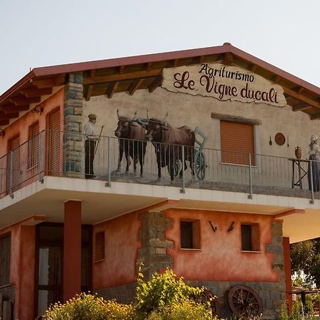 Agriturismo Le Vigne Ducali Mandas Exterior photo